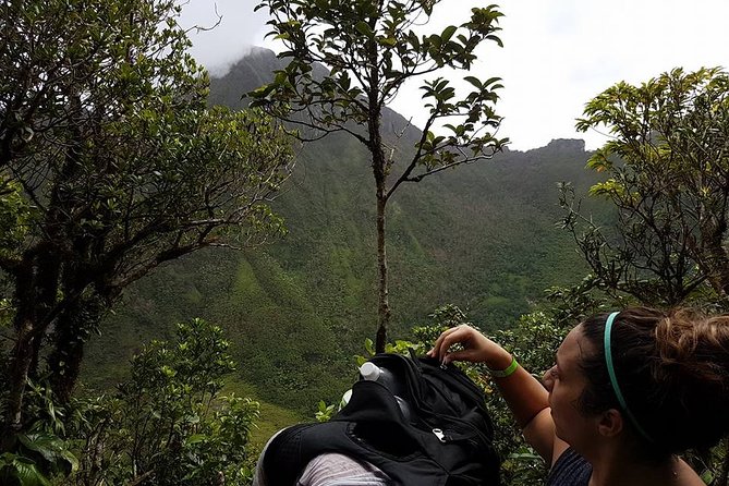 Volcano Crater Hiking Tour in St Kitts - The descent is where sturdy shoes really earn their keep