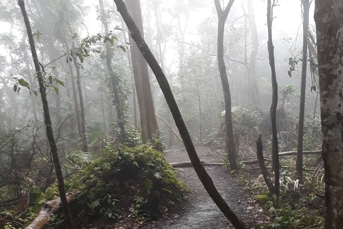 Volcano Crater Hiking Tour in St Kitts - Who should book the Mount Liamuiga hike?