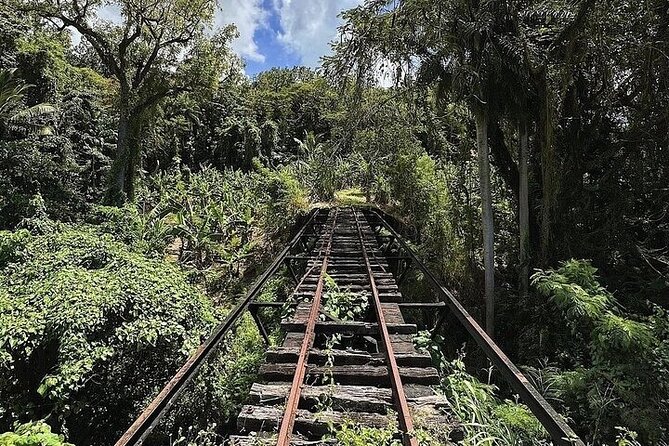 Wingfield Rainforest Adventure Hike and Caribelle Batik stop - A three-hour schedule that suits port days
