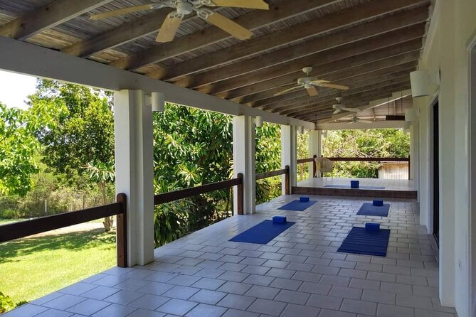 Yoga and Meditation, Group or Private Sessions in Nevis - What the 90-minute class includes