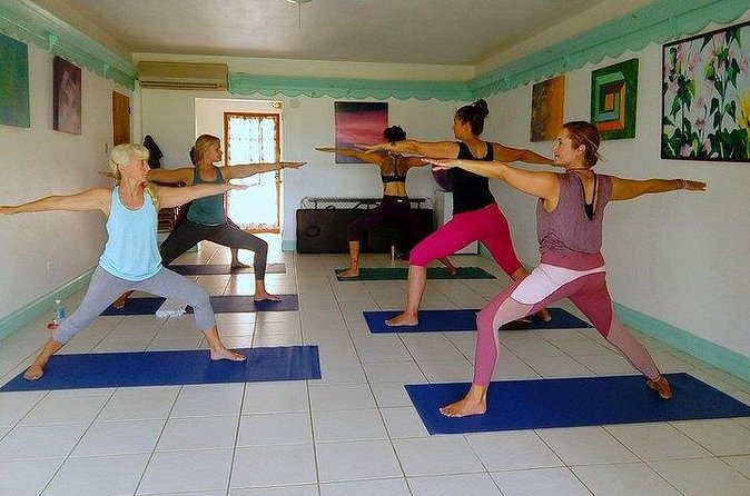 Yoga and Meditation, Group or Private Sessions in Nevis - The value of 90 minutes for $20