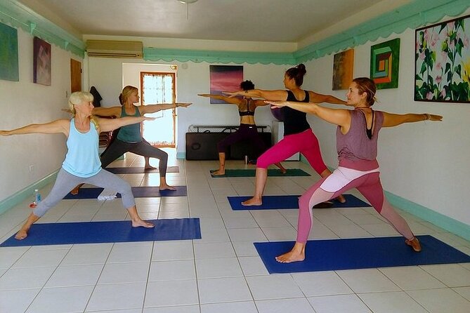 Yoga and Meditation, Group or Private Sessions in Nevis - Who should book this Nevis yoga session